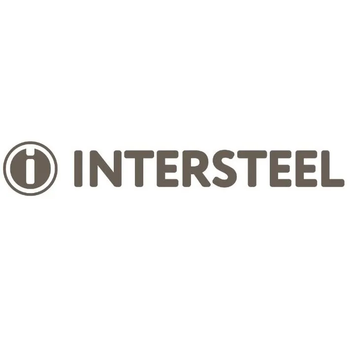 Intersteel SKG3 Veiligheidsbeslag PC55 Deurkruk Bern kruk/kruk  Zwart